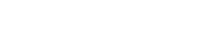 Mint Capital Vertex